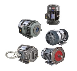 C-5 Electric motors special for hydraulic application M Series